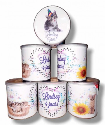 Pringles kitten poes