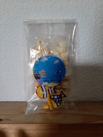 Vis gaat naar andere school 0