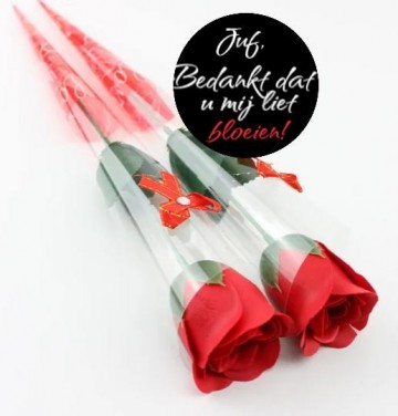 Zeeproos bedankt dat u mij liet bloeien